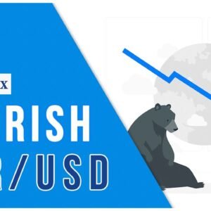 EUR/USD Forercast January 30, 2024